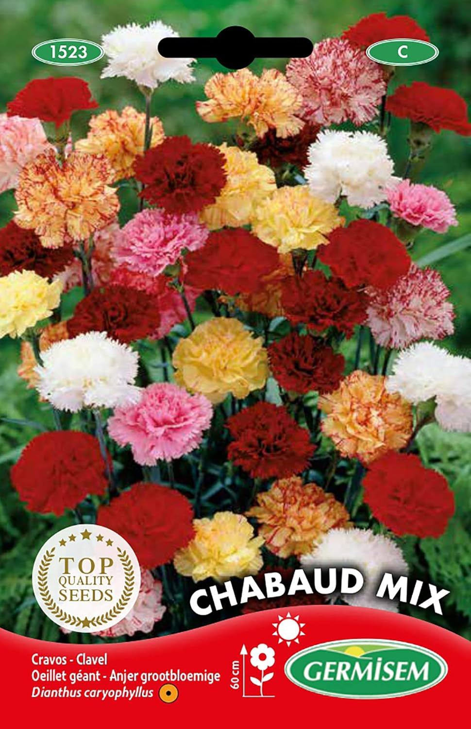 Gartennelken EC1523 flerfarvet