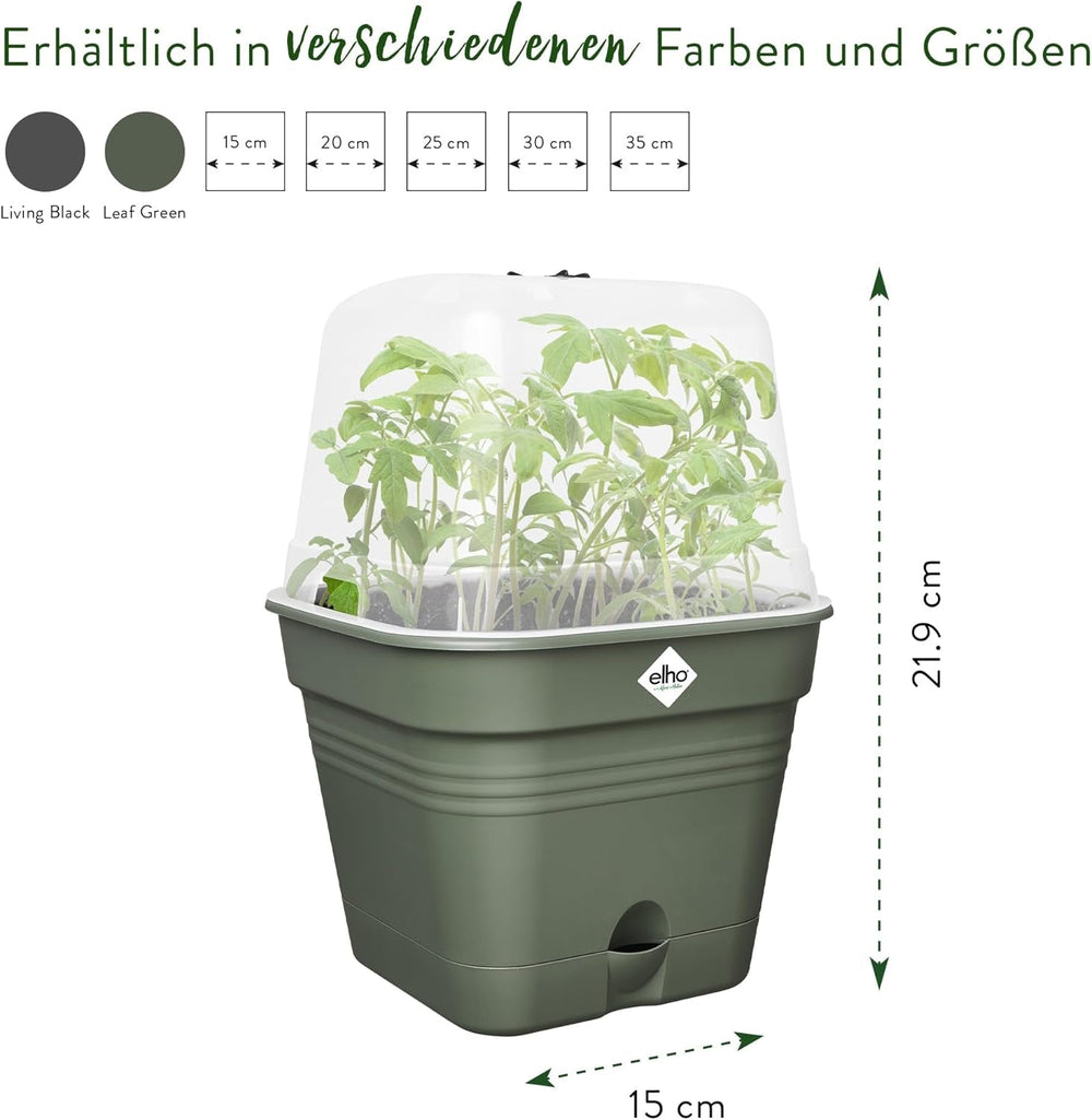 elho Green Basics Ghiveci Pătrat pentru Răsaduri Allin1 15 - Ghiveci pentru Flori pentru Cultivare - 100% Plastic Reciclat - Ø 15.0 x H 12.1 cm - Verde/Verde Frunză