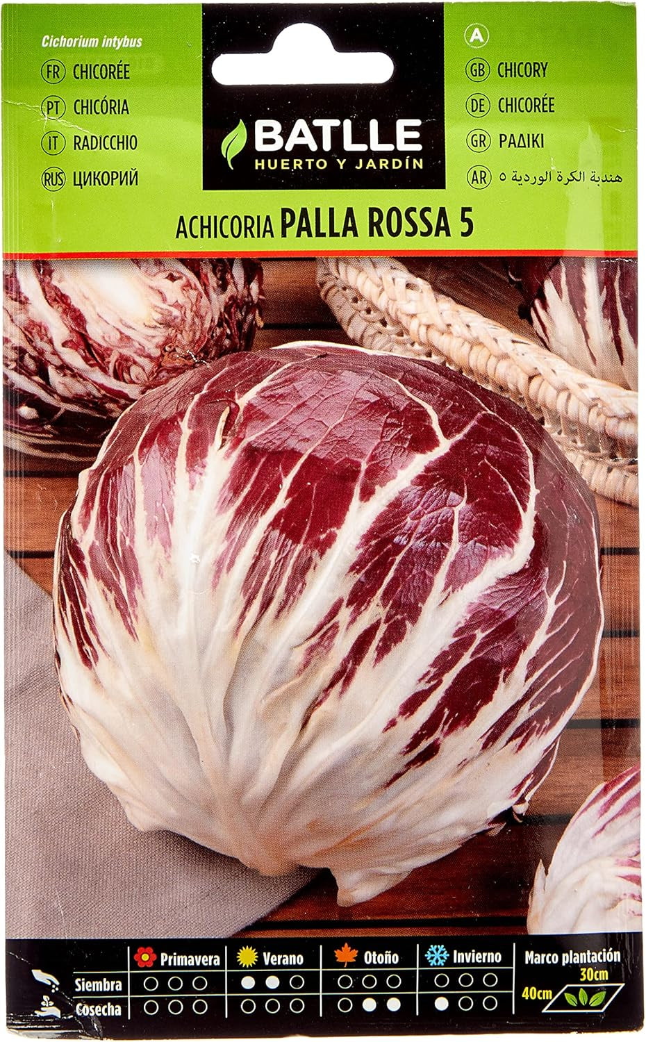 Batlle Gemüsesamen - Chicoree Radicchio Palla Rossa 5 (3840 Samen)