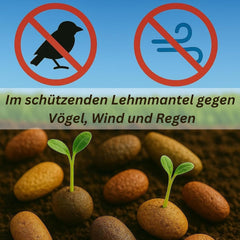 Blomsterfrø i beskyttende lerbelægning til bier og sommerfugle, 400g. Blanding af flerårige og vinterhårdføre vilde blomster til 20 m². Smukke vilde blomsterfrø til en farverig bi-græsgang. Gave til børn.