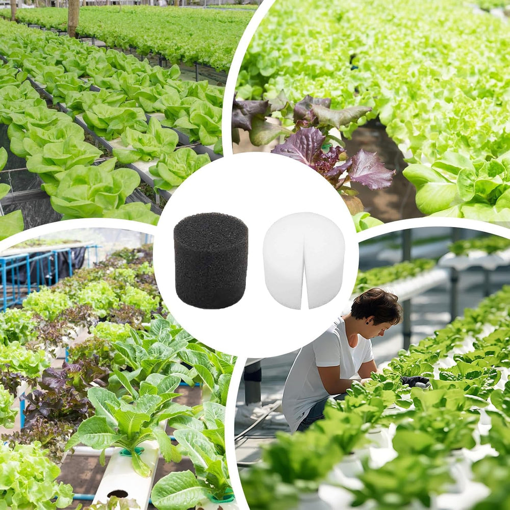 50 stk. 32*30mm hydroponiske svampe Rockwool formering hydroponisk system formering Svampe blok frøplante svampe Drivhus hydroponic system til dyrkning af grøntsager og blomster frøplanter