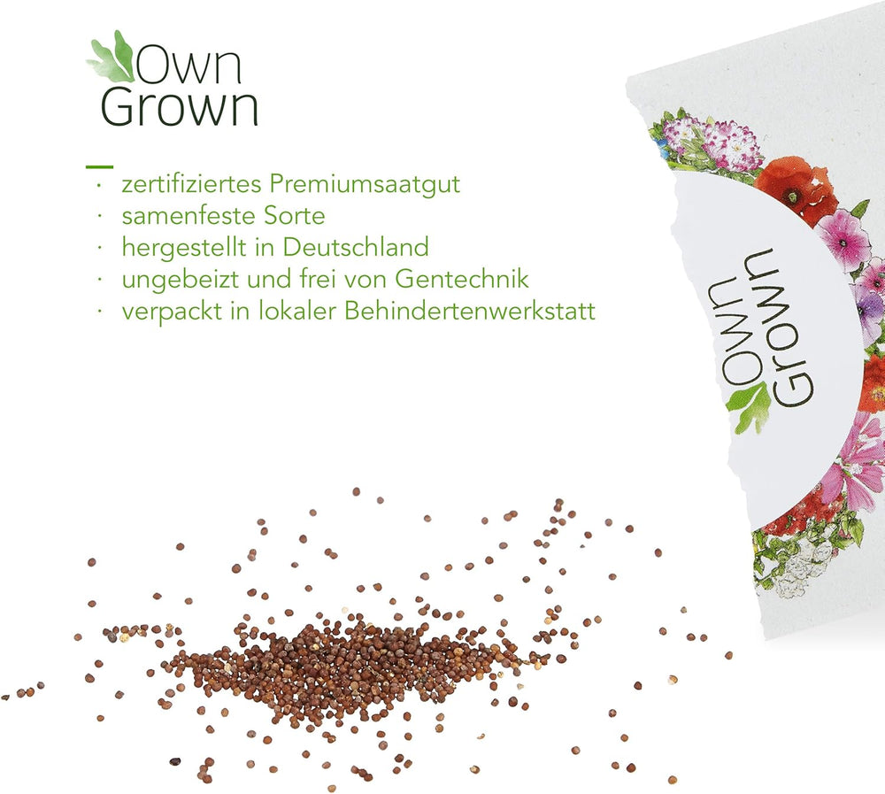 Petuniafrø: Premium petuniafrø til omkring 400 petuniaplanter – Smukke petuniafrø til altan- og haveplanter – Blomsterfrø – Slyngpetuniafrø – OwnGrown balkonblomster