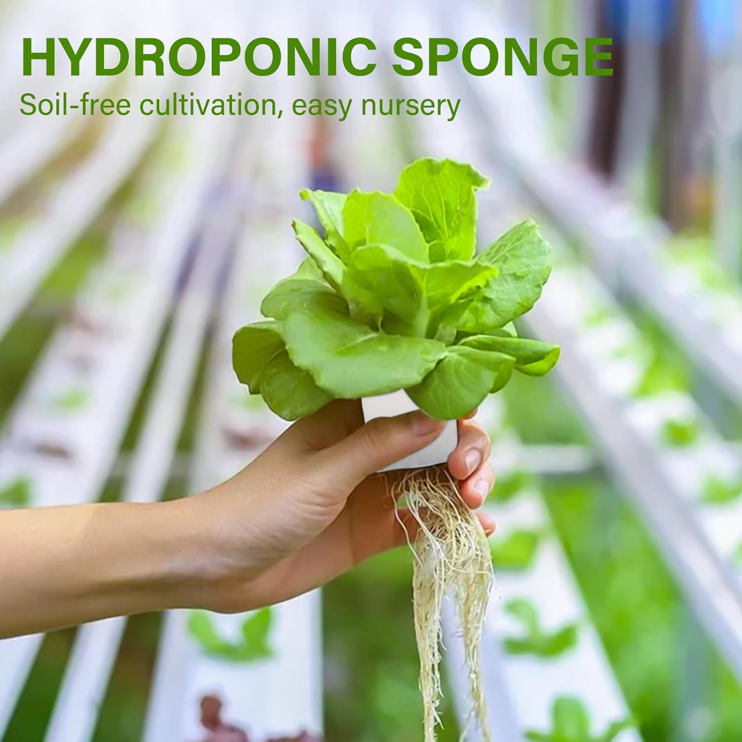 Rockwool, Formering Rockwool, 2 stk, hydroponisk svamp, 200 stk efter skæring - alternativ til drivhus, frøspiring og hjemmegrøntsager