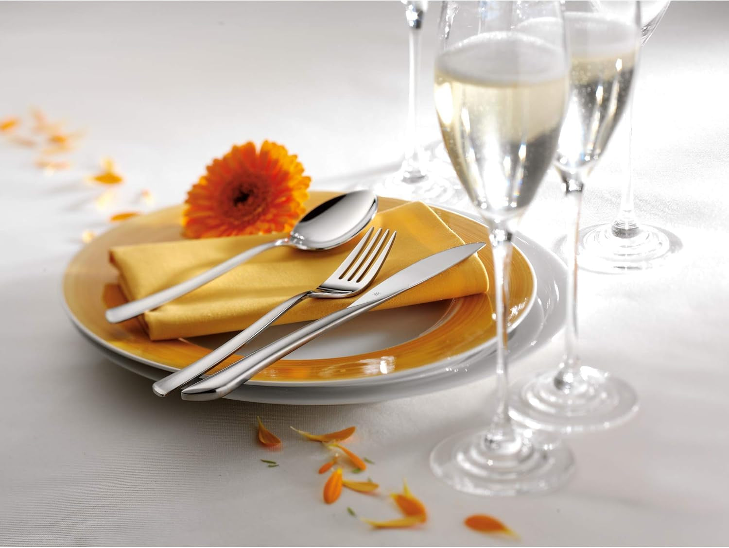 WMF Virginia bestiksæt til 12 personer Kitchen Naty Shop