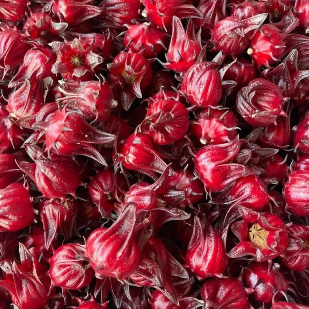 Hibiscus Sabdariffa - Wildkräuter Luftreinigende Zimmerpflanzen Schnell Wachsende Sträucher Hecken Exotische Balkon Pflanzensamen Kräutersamen Gartenblumen Kräutergarten Geschenk 200Samen
