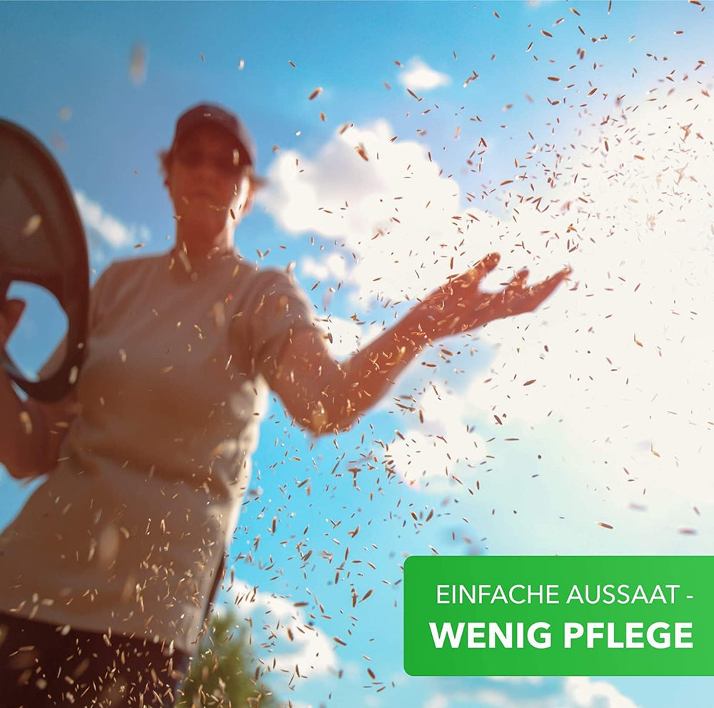 Magic of Nature 800gr. Blumensamen Mischung - Bienen Paradies - Blühfreudige Bienenweide für 150 bis 250 m²