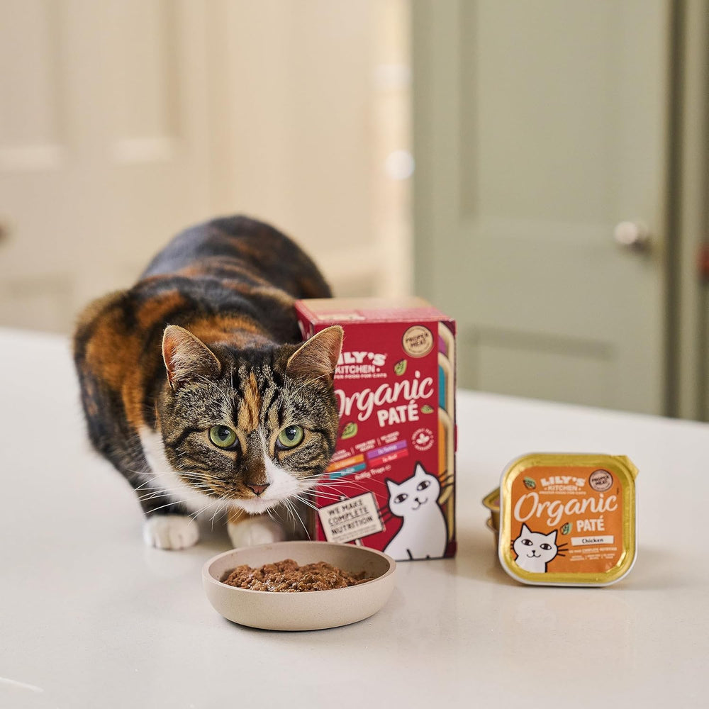 Hrană umedă Lily's Kitchen pentru pisici adulte, cu ingrediente naturale, pachet multiplu de tăvi, pate organic, fără cereale, 4 x (8 x 85g)