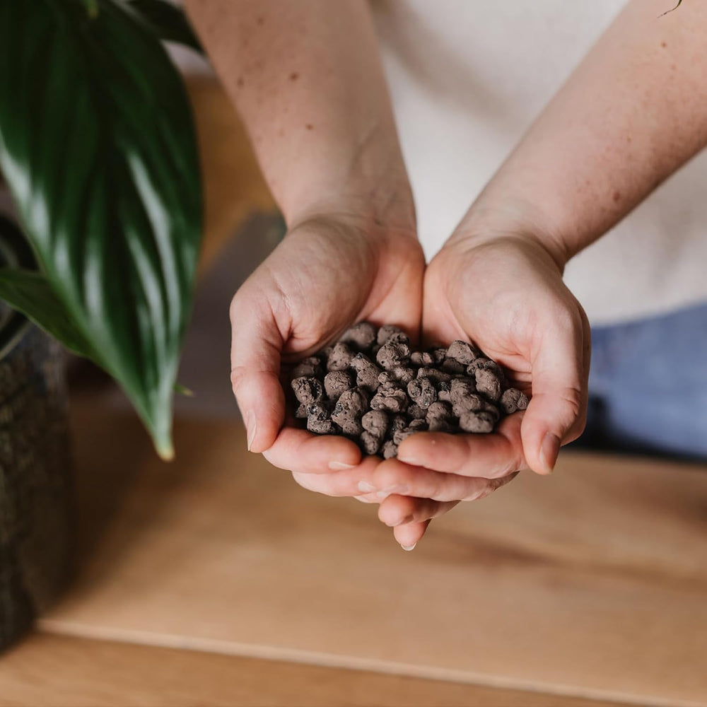 Westland Clay Granulat, 5 L - Granulat til planter ideel til hydroponics, dræningssubstrat uden kemiske tilsætningsstoffer, til indendørs og udendørs brug