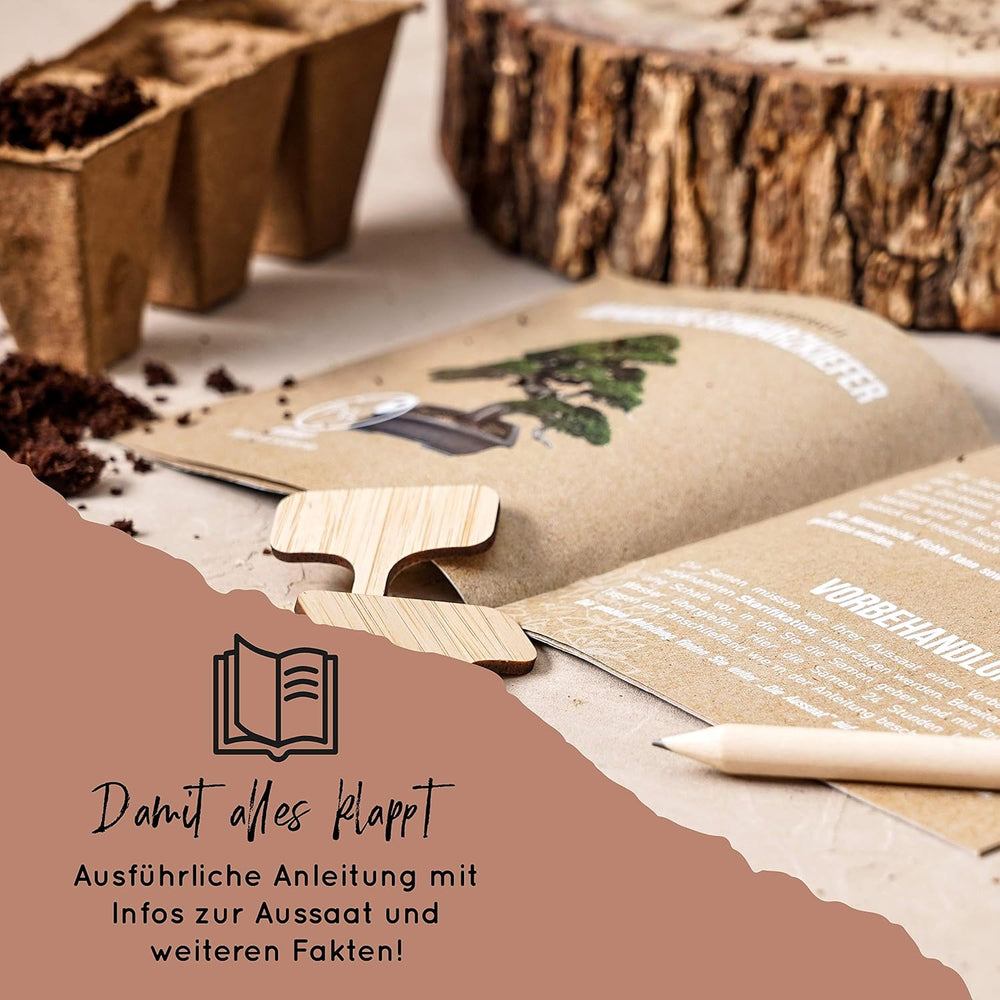 10 Bonsai frø fra 5 kontinenter | Eksotiske træfrø til din unikke bonsai | Startsæt og planteentusiaster | Vores Bonsai-sæt som en speciel gaveidé