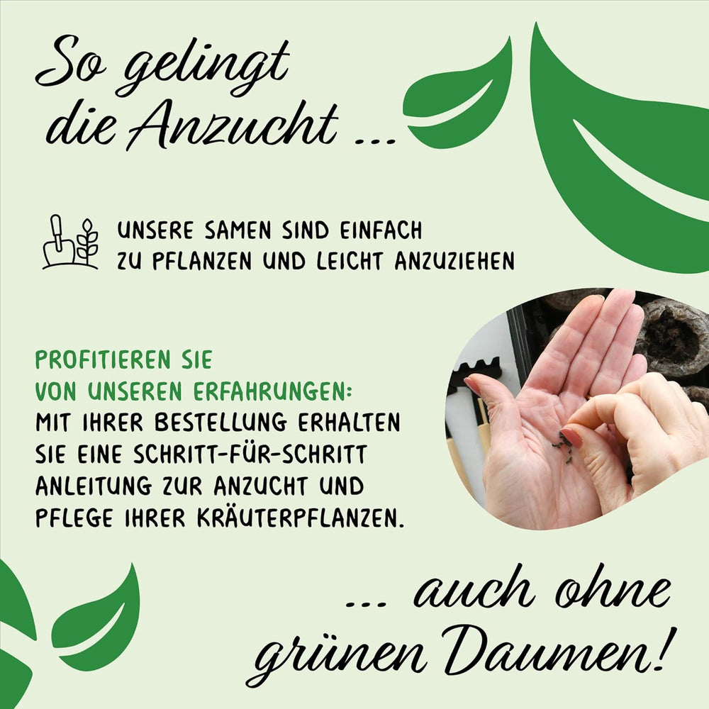 Prademir – Kräutersamen Set fra 16 beliebten Küchenkräutern – Kräuter Anzuchtset mit 100% Natursamen fra Portugal – Kräuter Saatgut aus Oregano, Timian, Merian, Rosmarin, Dild, Basilikum, Sage uvm