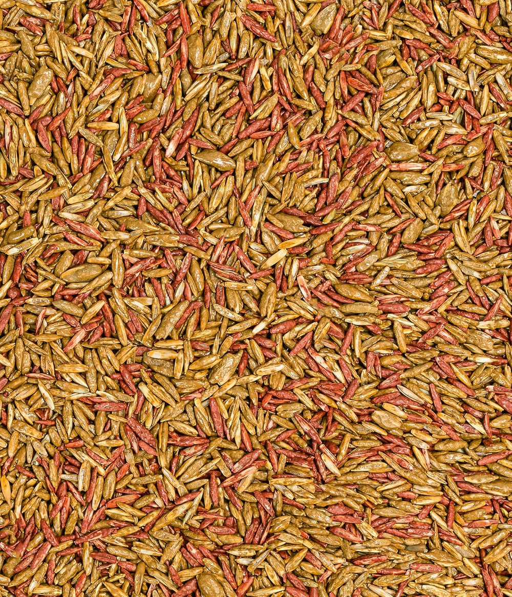 Dehner Saatgut Rasen-Nachsaat, Trockenrasen, Hochwertige Saatgutmischung, Raschwüchsig/Schnellkeimend, 300 G, Für Ca. 25 M², Natur