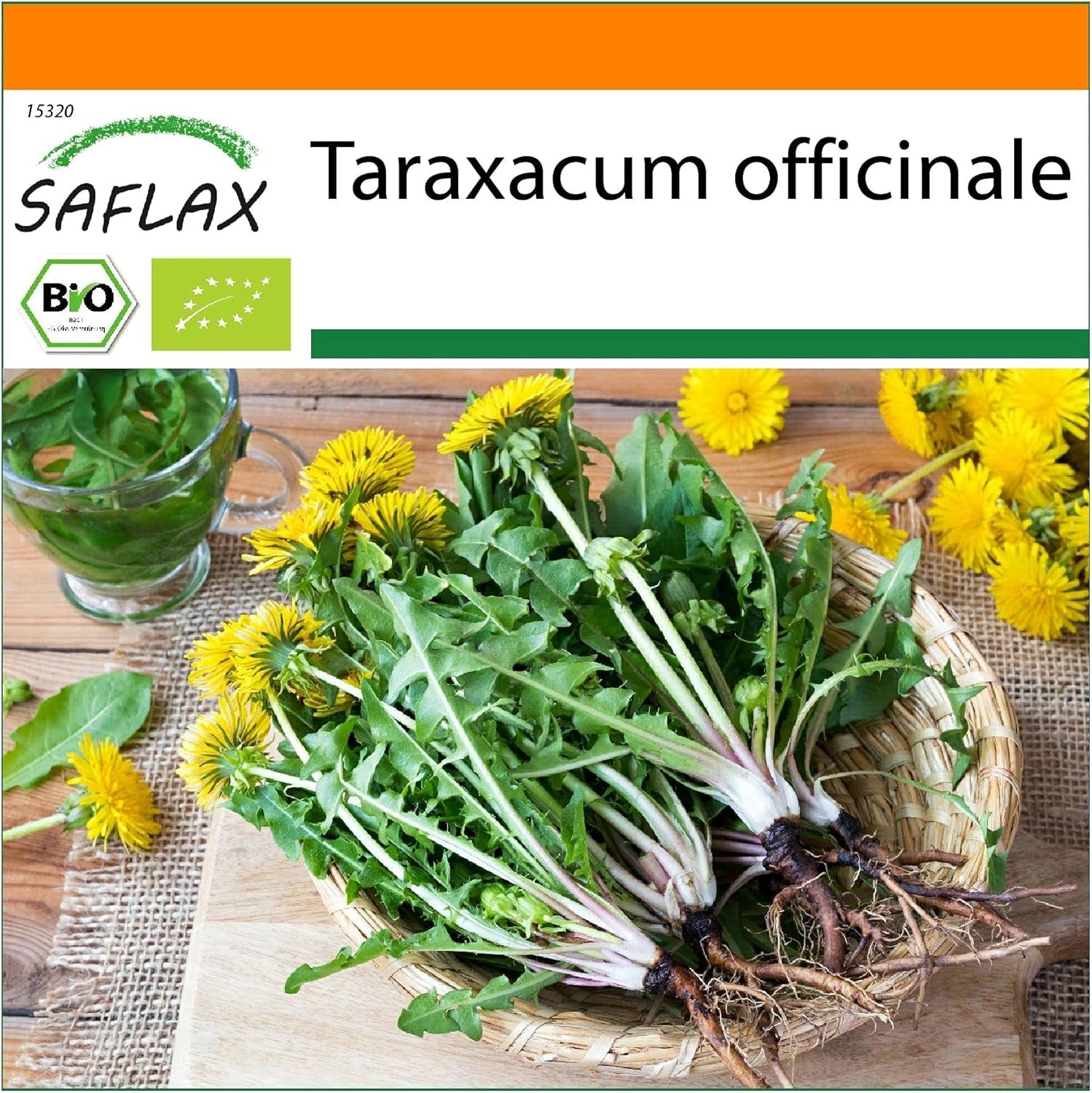 SAFLAX - BIO - Mælkebøtte - 400 frø - Taraxacum officinale