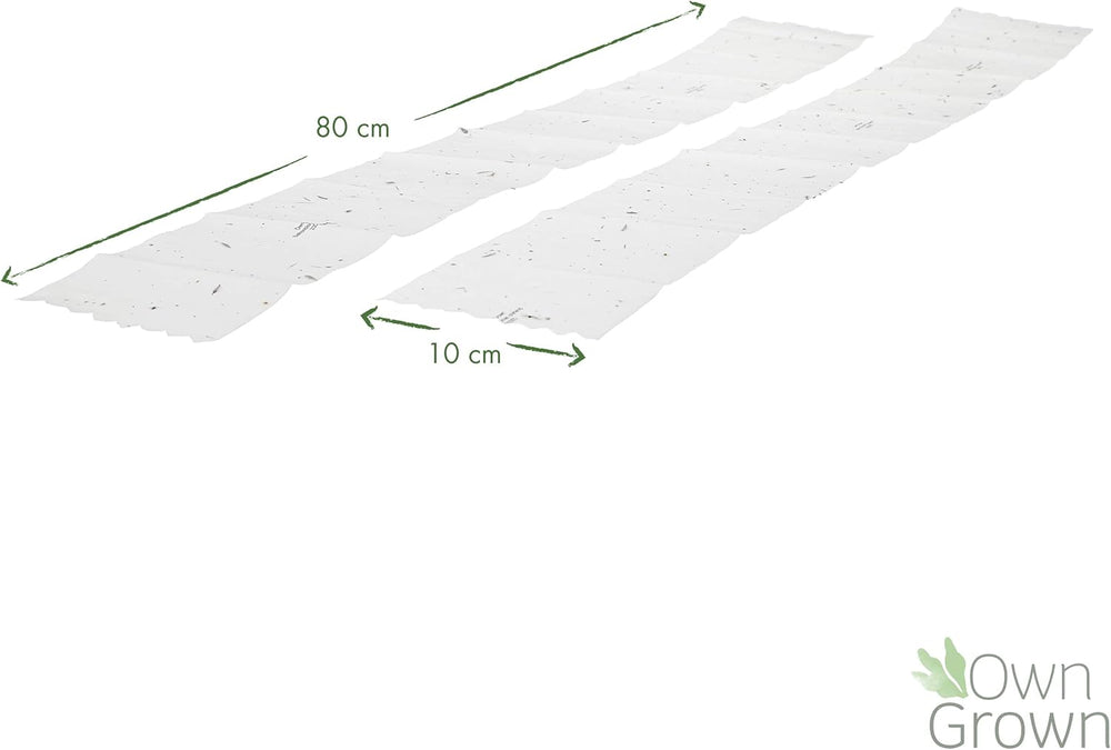 Farverig balkonblomstblanding - 2 premium balkonblomstfrømåtter Let at dyrke sommerblomster og vilde blomsterfrø fra egendyrkede insektvenlige etårige frø
