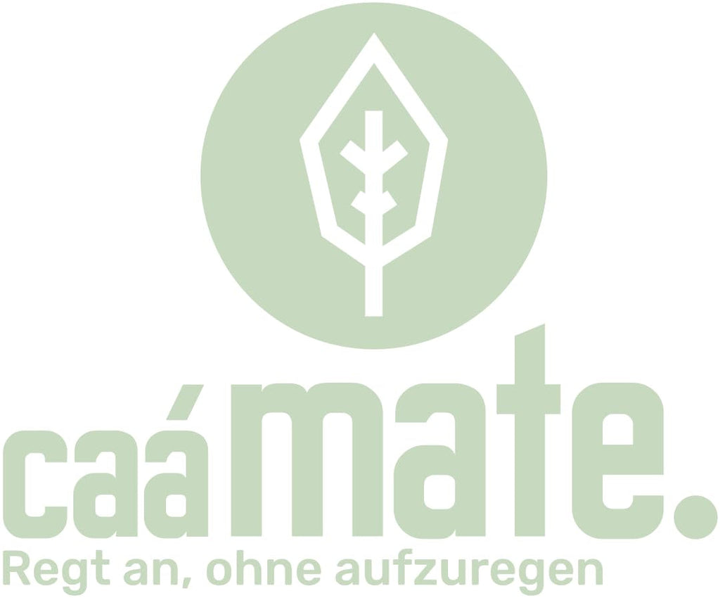 Ceai Mate Bio Mild 1 kg - Pur, proaspăt și verde - Uscat la aer - Yerba Mate organic - Controlat, certificat și ambalat în Germania (1000 g)