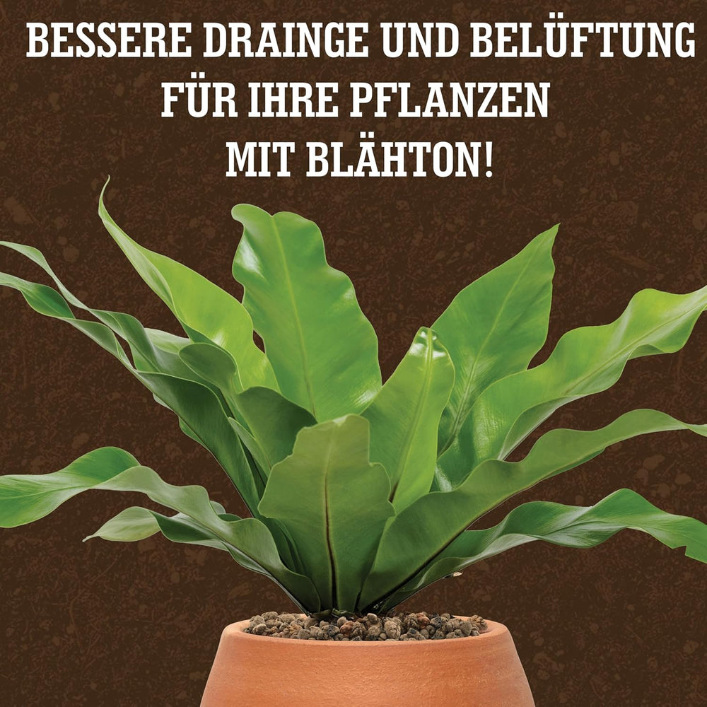 LERAVA® Expanded Clay (1L) – Lergranulat til stueplanter og hydroponics – Vegetabilsk ler med neutral pH for optimal dræning – Ideel som dræningslag eller dekorative lergranulat til planter