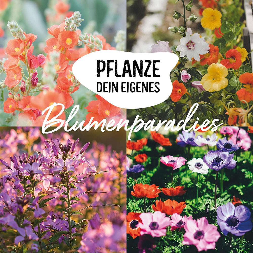 Økologisk blomsterfrøsæt | 12 sorter af blomsterfrø | Premium blomsterfrø | Wildflower frø plante frø sæt | Blomsterfrø | Blomsterfrø til altanen | Ideel gave med blomsterfrø