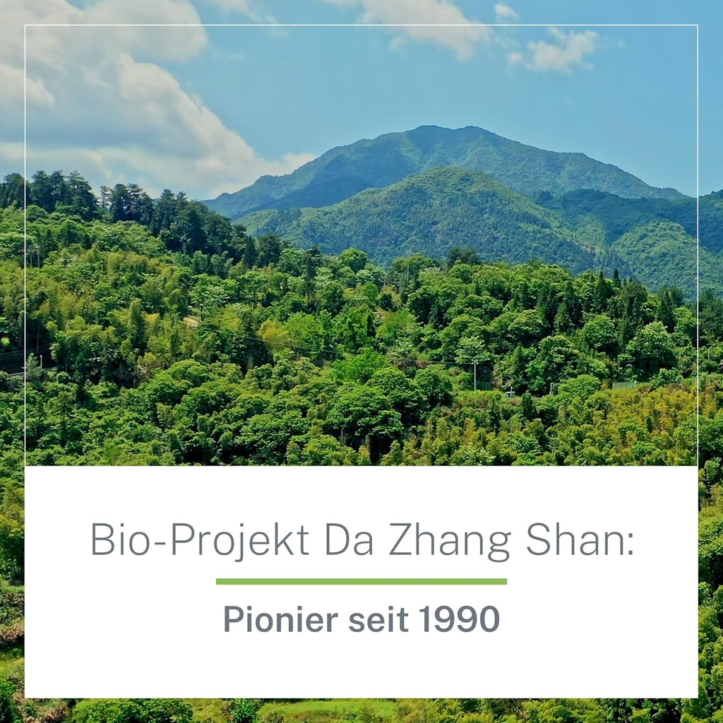 Ceai verde organic Pinhead Gunpowder vrac 1 kg – Ceai verde de înaltă calitate, organic, din China – Gust ușor afumat – Pentru gurmanzi și cunoscători de ceai – Mycupoftea