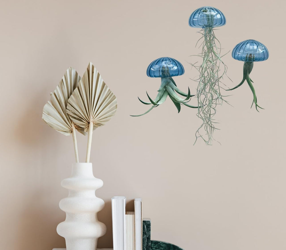 Tillandsien Pflanze - Luftpflanze Echt - Air Plants - Tilldandsia - 1 X Quallenpflanze Mit Seeigel Aus Blauem Glas - Bromeliengewächs - Spanisches Moos - Luftpflanzen Halterung - Trendyairplants