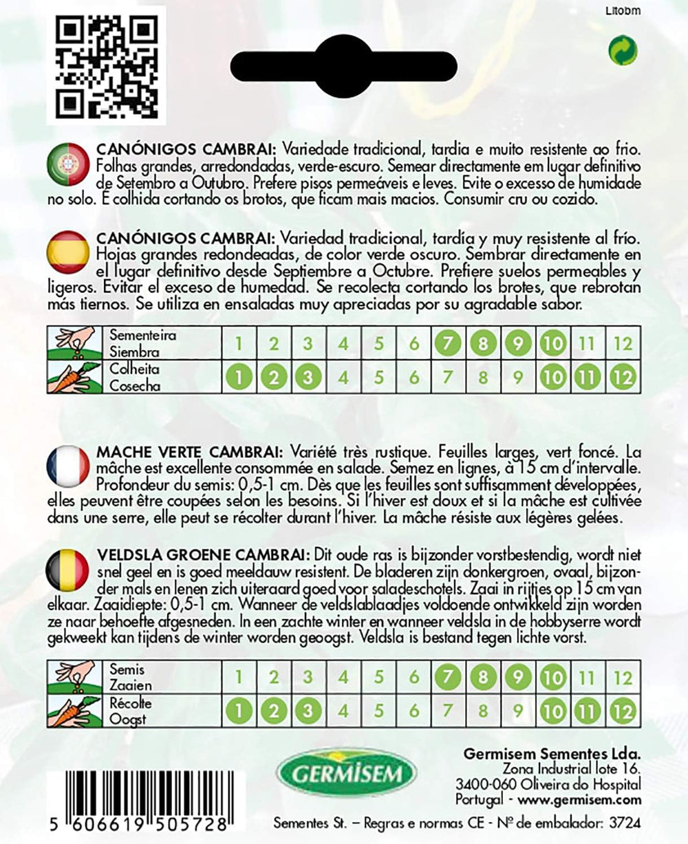 Feldsalat DE CAMBRAI, Mehrfarbig, EC6030 (Packung Mit 2)