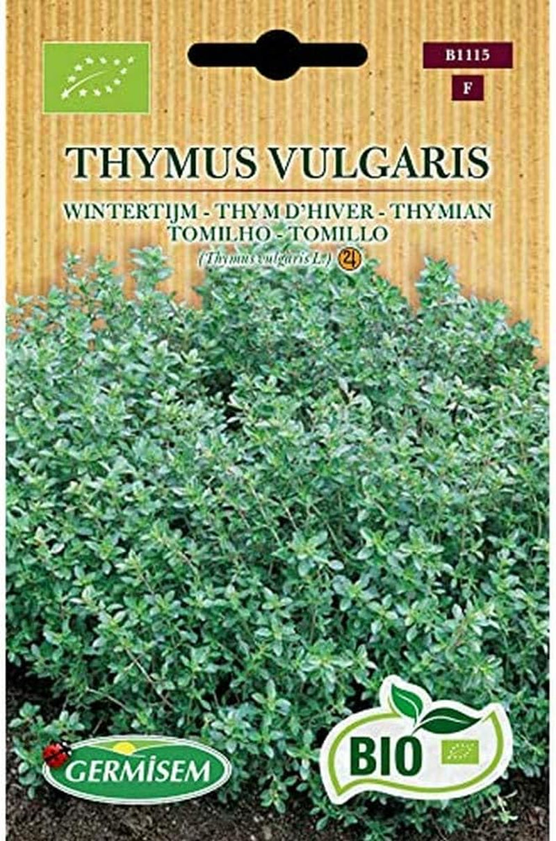 Thymian THYMUS VULGARIS, ECBIO1115