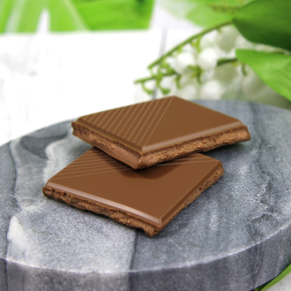 frankonia CHOKOLADE UDEN TILSAT SUKKER Nougat Chokolade, glutenfri, 100 g