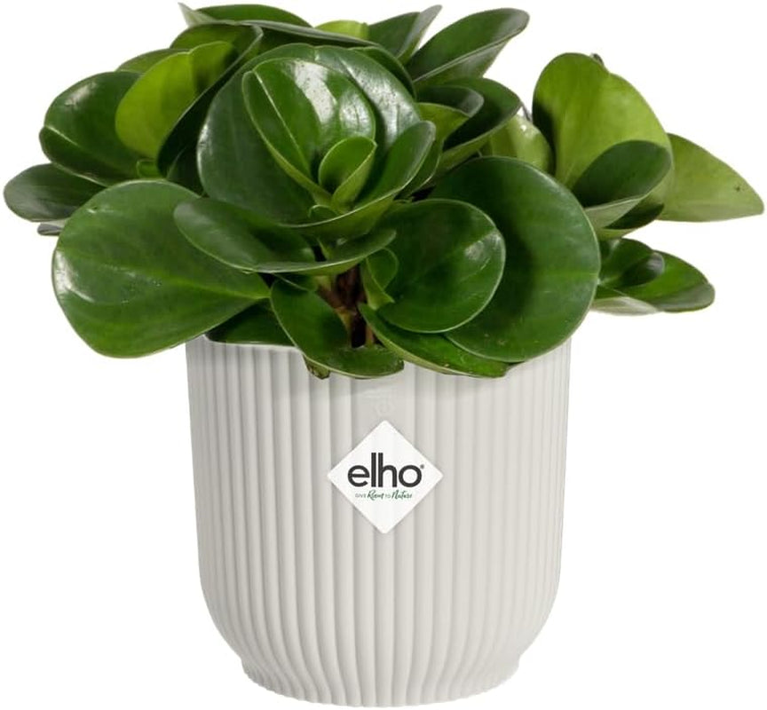 Ghiveci elho Vibes Fold Round Mini 9 - Ghiveci de flori de interior - 100% plastic reciclat - Ø 9,3 x H 8,8 cm - Alb/Alb mătăsos