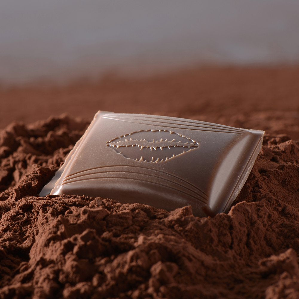 HEJ Saltet karamelchokolade | Bar 100g | Mælkechokolade med saltet karamelfyld | Chokoladebar | Chokoladegave (pakke med 5)