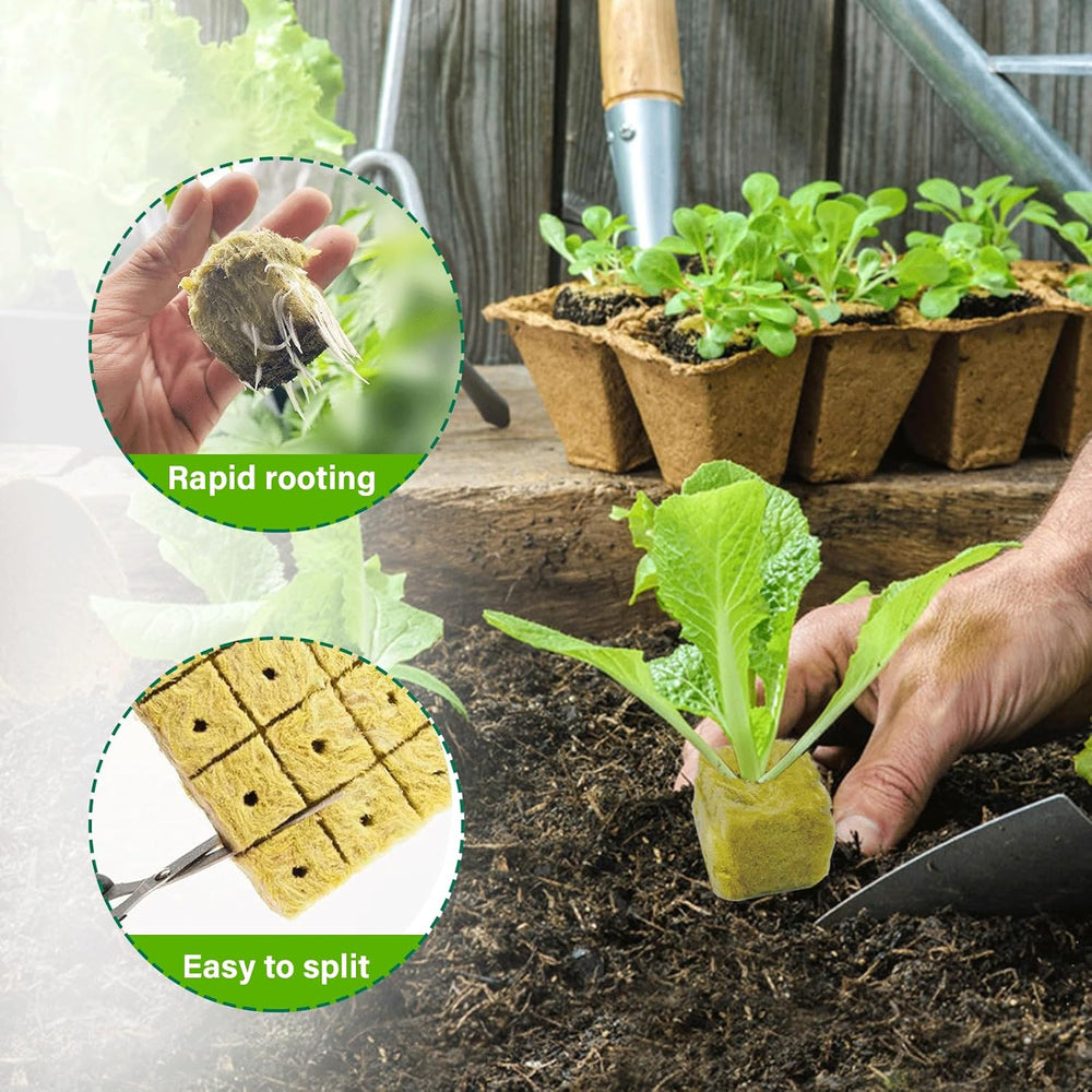 100 Stück Steinwolle Anzucht Würfel 2,5x2,5x2,5CM Rockwool Cube Anzuchtmatte Steinwolle Anbau Hydrokultur Umpflanzen für Bodenlose Anzucht Setzlinge Stecklinge Klonpflanzen