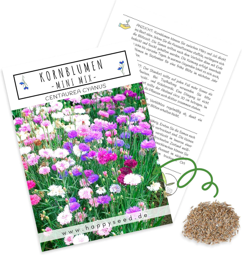 Centaurea cyanus frø - Smukke og levende blomster med en lang blomstringsperiode til en farverig blomstereng (Mix, 1000 frø, 80 cm)