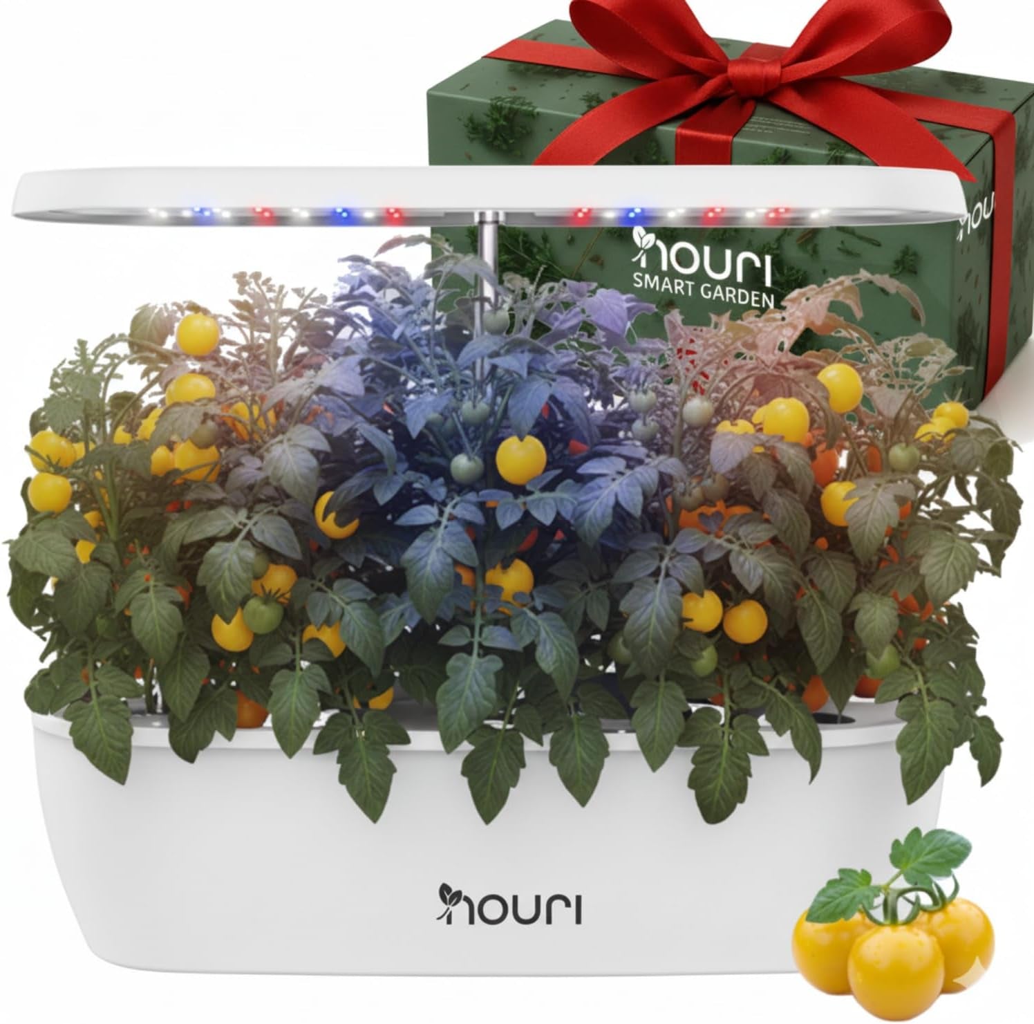 Ny 7 Bridge + Heirloom Basilikum | Smart Have til hjemmekokke | Hydroponisk dyrkningssystem | LED Grow Lights | Indendørs urtehavesæt til planteelskere og gartnere, hvid