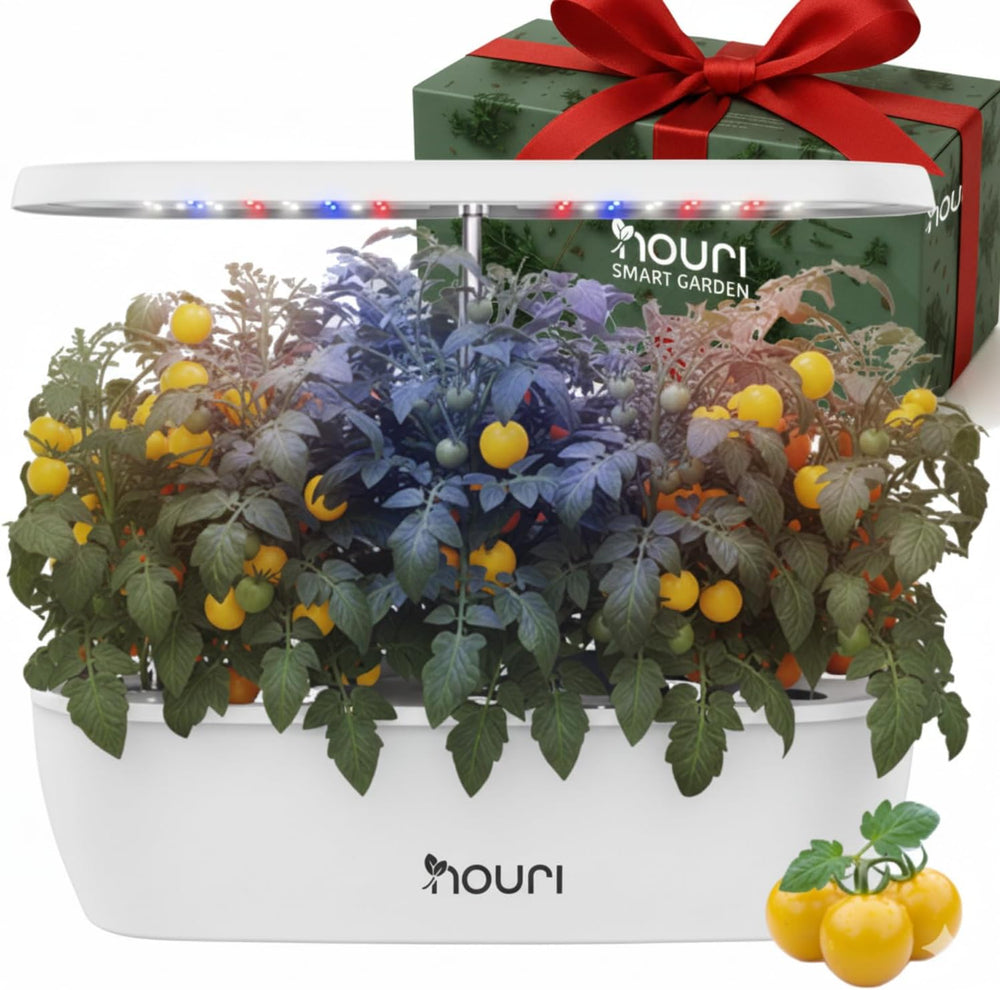 Ny 7 Bridge + Heirloom Basilikum | Smart Have til hjemmekokke | Hydroponisk dyrkningssystem | LED Grow Lights | Indendørs urtehavesæt til planteelskere og gartnere, hvid