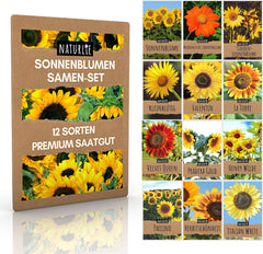 12Er Sonnenblumen Samen Set - 12 Schöne Sorten Premium Sonnenblumensamen - Blumen Saatgut Für Bienen - Super Garten Geschenk - Blumensamen Sommerblumen Anzuchtset Von