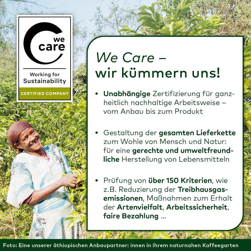 Lebensbaum Garam Masala, Bio-Gewürz zum Würzen von Currys, Rice og Geflügel mit Würzig-warmer and Angehenm Pfeffriger Notes, 40 g