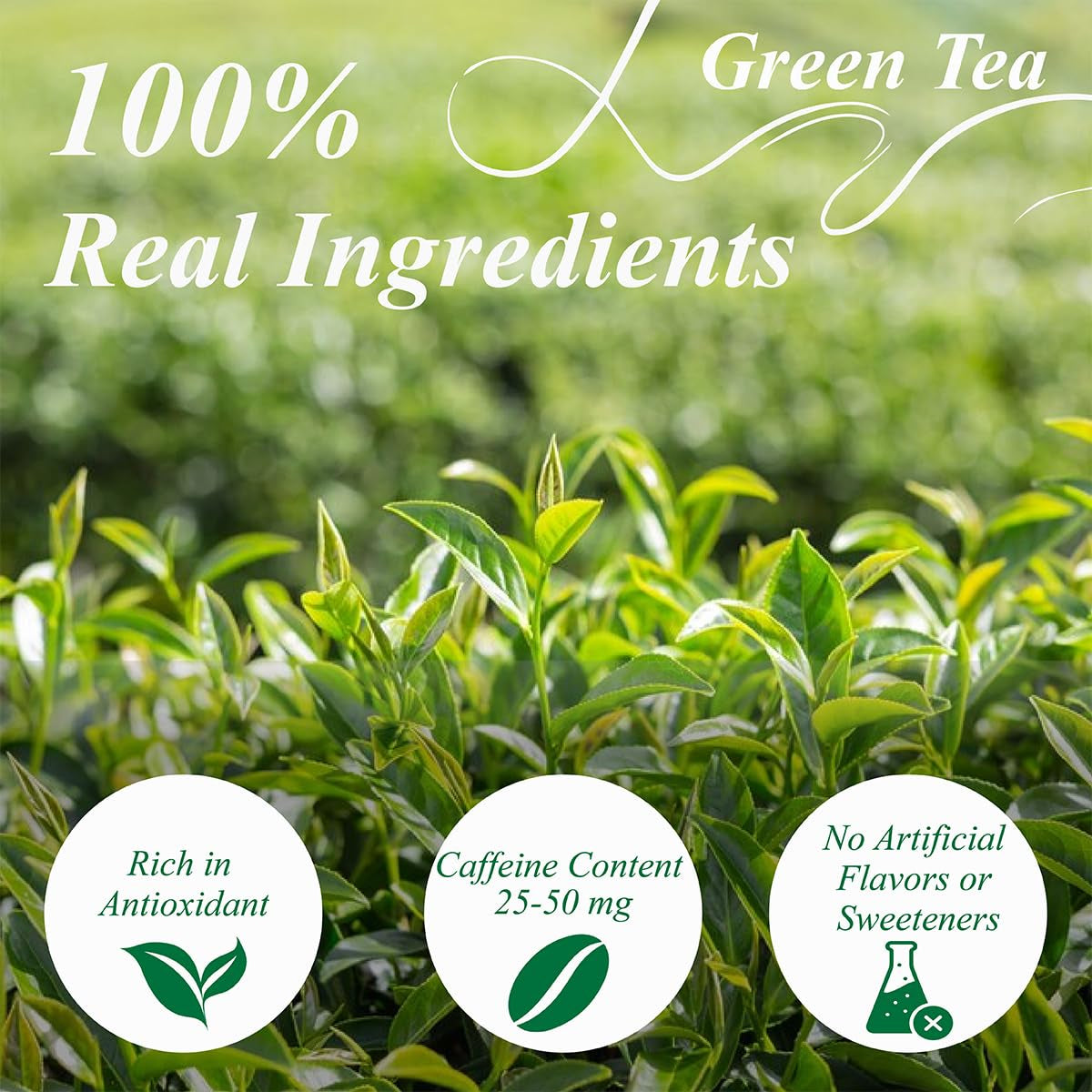 WEETEE Pliculețe de ceai verde, 100 bucăți Pliculețe de ceai verde, ceai verde pur, super antioxidant | Pliculețe resigilabile | Preparare fierbinte sau rece
