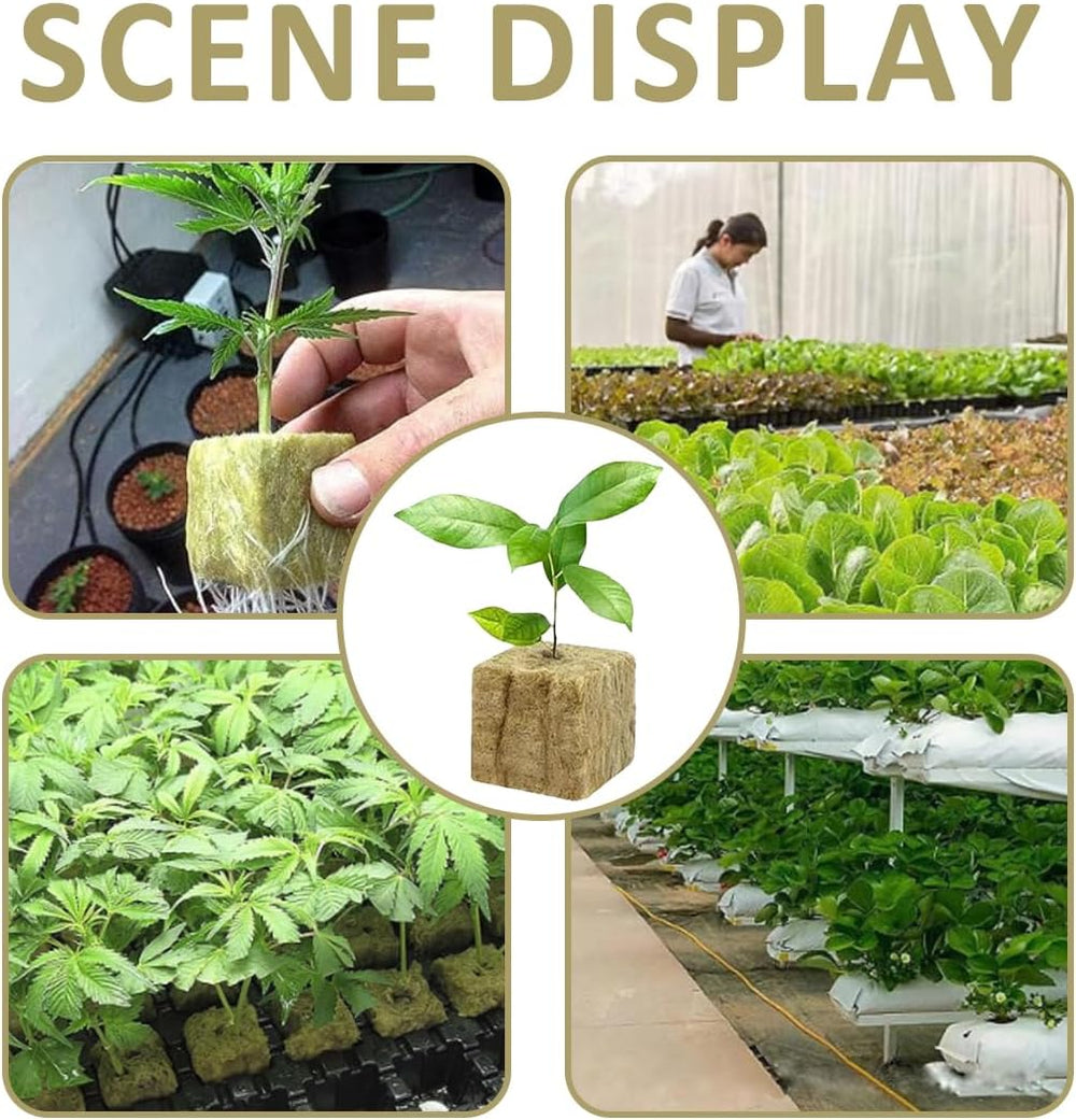 Rockwool-frøplanteterninger 28 - Rockwool-terninger 4x4x4cm - Frøplanteterninger, Rockwool-terninger, hydroponiske frøplantesystemer/klonede planter/skoleprojekter, dyrkning af frøplanter uden jord