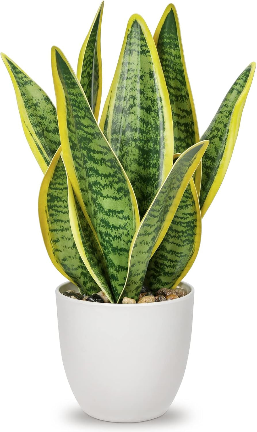 Sansevieria Kunstpflanze Im Keramiktopf, Kleine Zimmerpflanze, Künstliche Schlangenpflanze, Kunstpflanzen Wie Echt Perfekt Für Badezimmer Schlafzimmer Home Office Dekoration, Höhe 33Cm