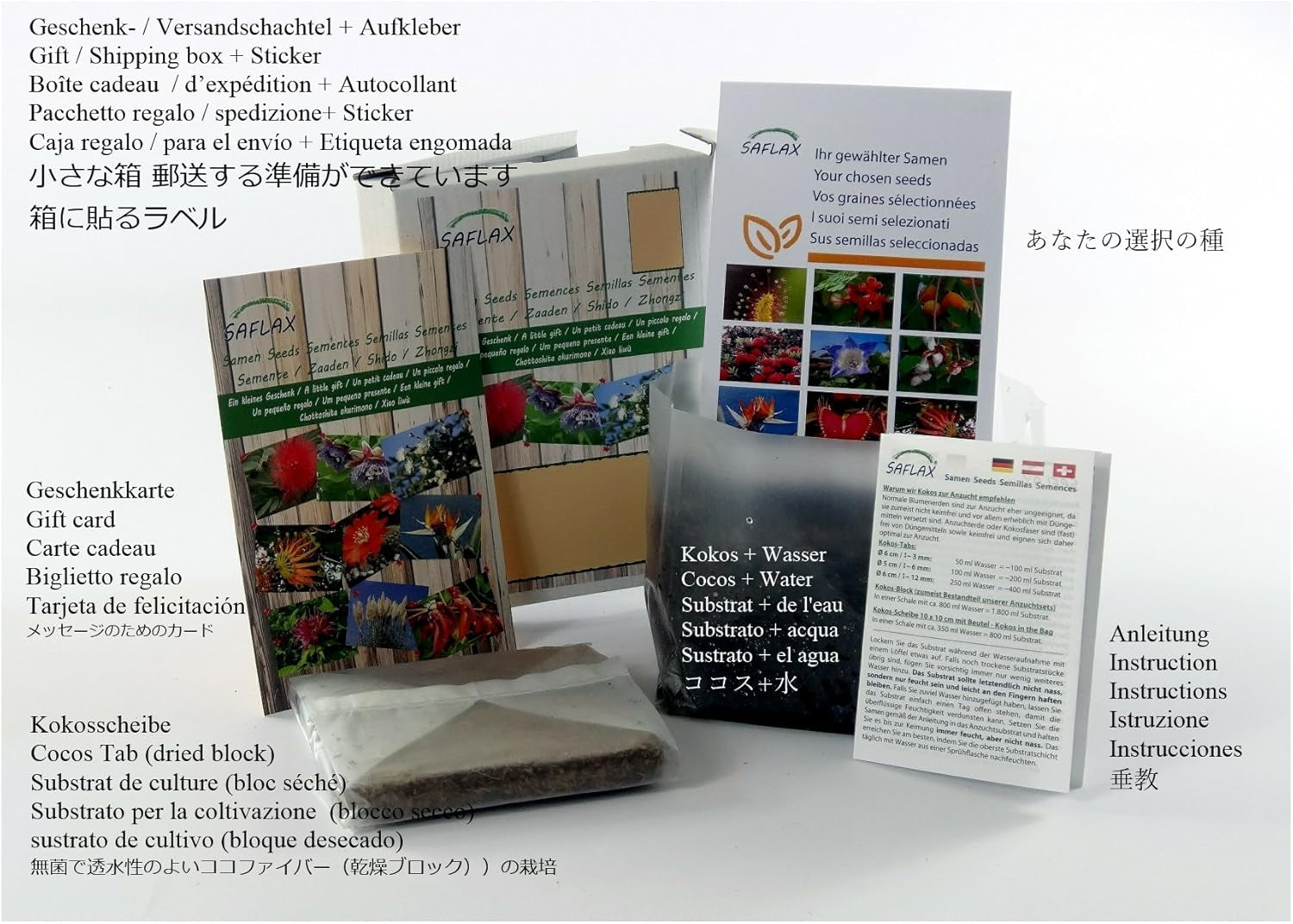 SAFLAX - Geschenk Set - Heilpflanzen - Echter Koreanischer Ginseng - 10 Samen - Mit Geschenk- / Versandbox, Versandaufkleber, Geschenkkarte Und Anzuchtsubstrat - Panax Ginseng