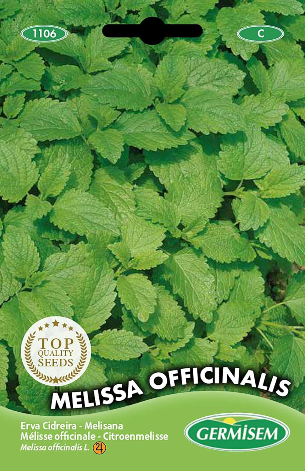 Zitronenmelisse MELISSA OFFICINALIS