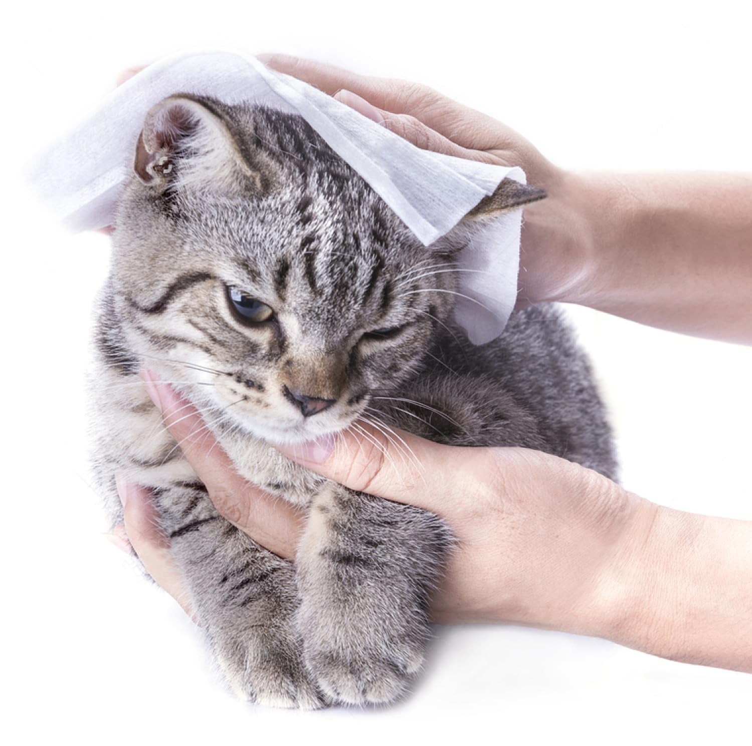 Go 07 Citronella Komprimeret rengøringsserviet med væske 50 stk