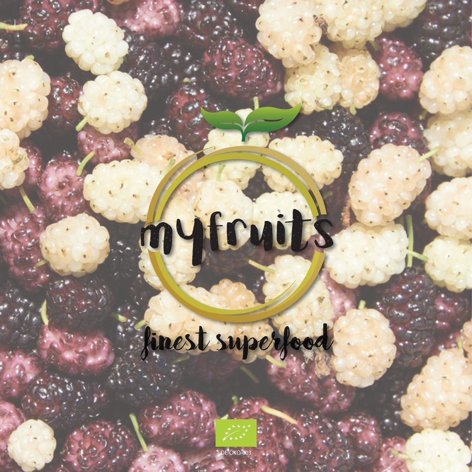 myfruits mure organice uscate, 750g, uscate la soare, fără aditivi. Din agricultura ecologică certificată, mure albe uscate Produse deshidratate Naty Shop